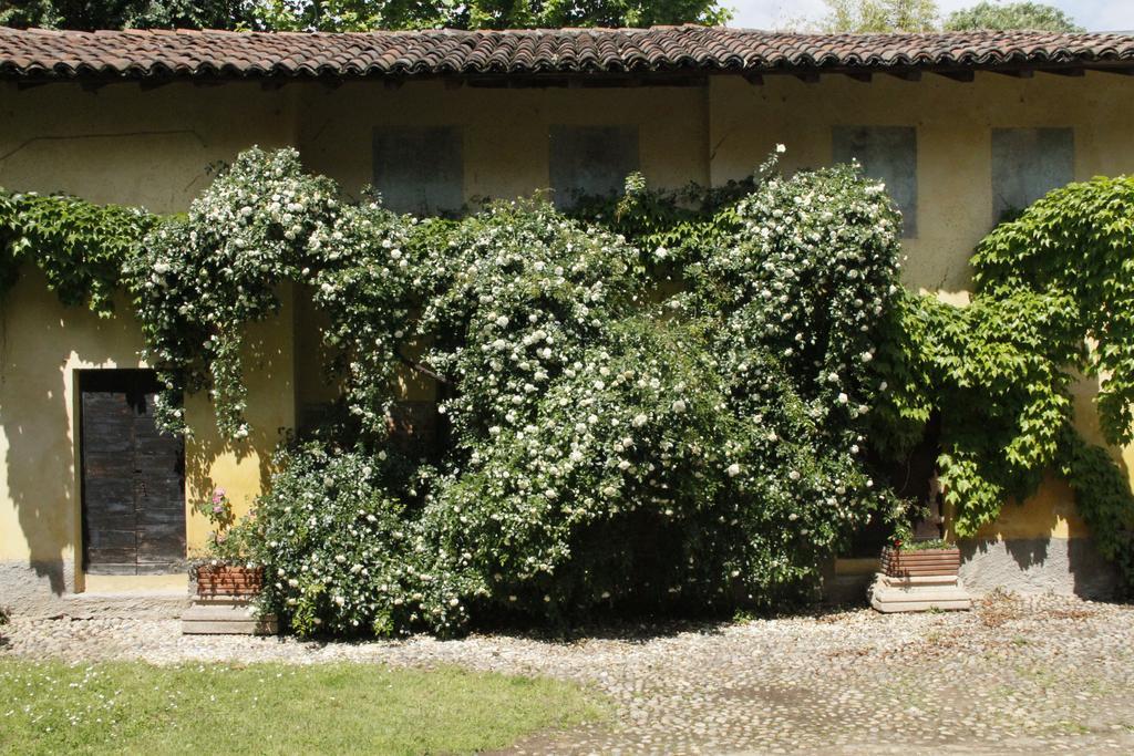דירות Robecco sul Naviglio Borgo Archinto מראה חיצוני תמונה