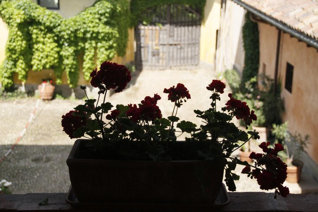 דירות Robecco sul Naviglio Borgo Archinto מראה חיצוני תמונה